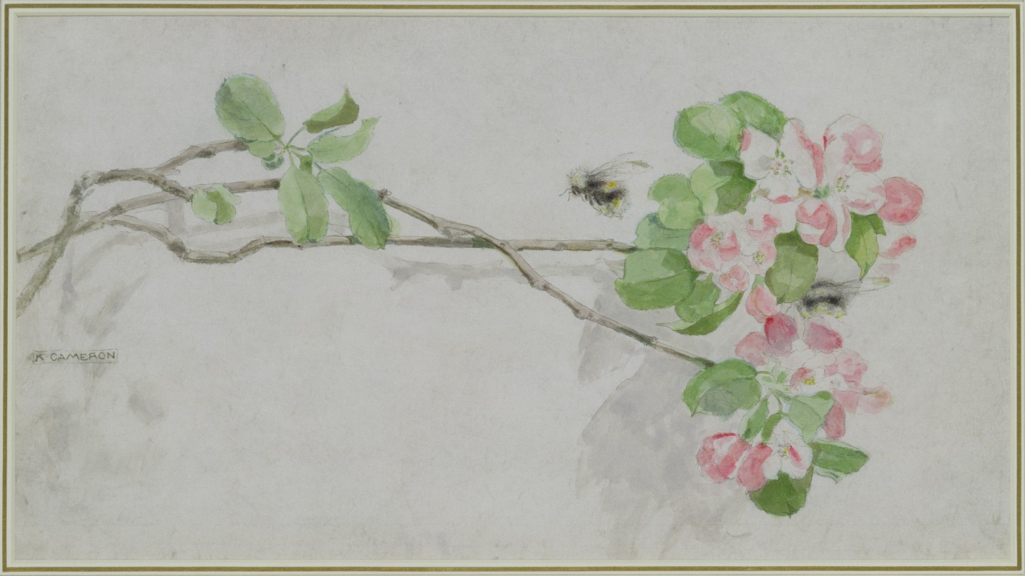 Apple Blossom and Bees